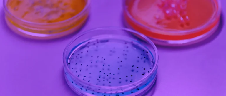 16S / 18S / ITS Metagenomik Analiz