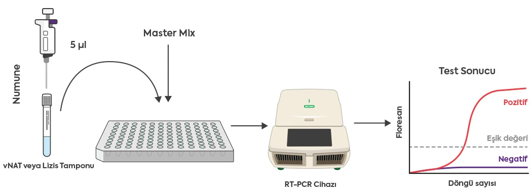 RefKit SARS-CoV-2 Timeline