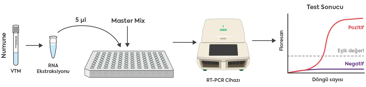 RefKit SARS-CoV-2 Timeline