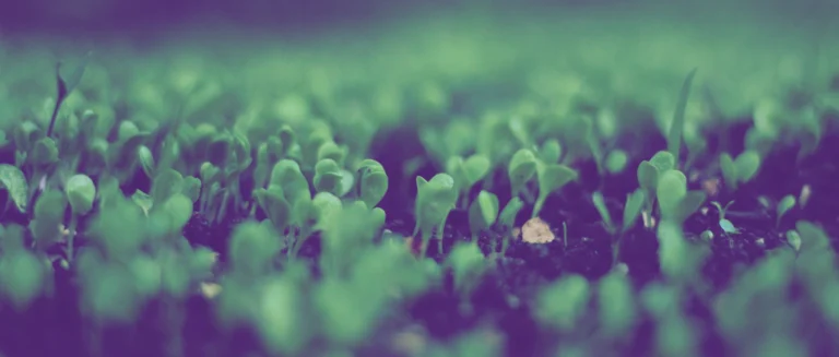 Shotgun Metagenomik Analiz